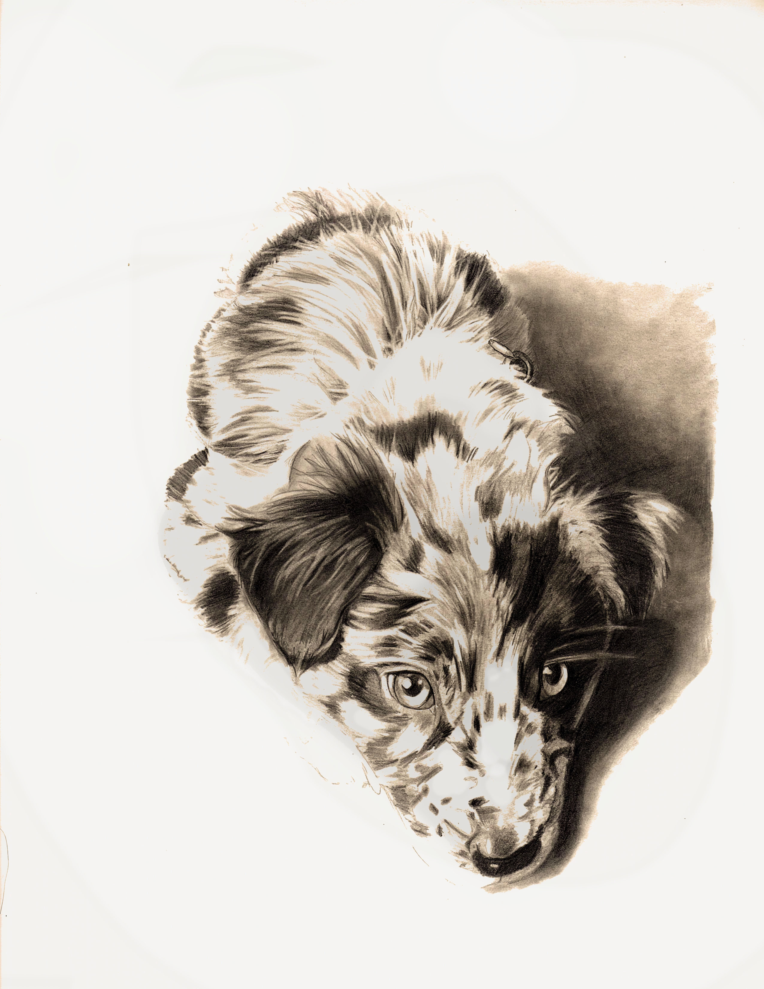 Rimbey Art – custom artwork